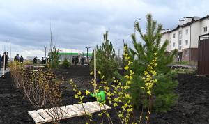 В Уфе появились новые зеленые аллеи