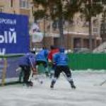 Молодежная общественная палата организовала хоккейный турнир