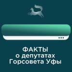 Как устроен городской Совет