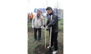 Депутаты городского Совета Уфы посадили деревья на  «Аллее Славы»
