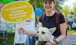 Найди верного друга