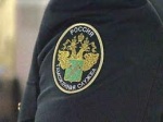 Живой товар на проверку!