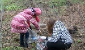 Молодежная палата Уфы провела акцию по очистке Непейцевского дендропарка