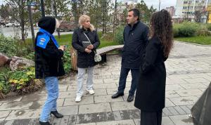 Инспекция благоустройства