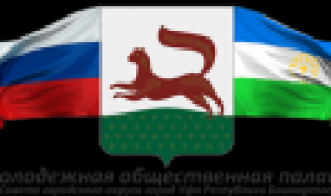 Ветераны ищут поддержки у Молодежной палаты Ветераны ищут поддержки у Молодежной палаты