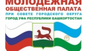 Молодежная палата разработала проект Аллеи звезд