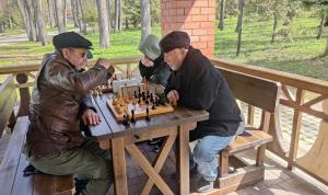 Тимур Гадеев открыл турнир Октябрьского района по шахматам среди ветеранов