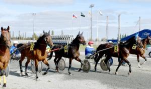 Яркий зимний старт на «Акбузате»