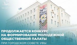 Продолжается конкурс на формирование Молодежной общественной палаты при городском Совете Уфы Продолжается конкурс на формирование Молодежной общественной палаты при городском Совете Уфы