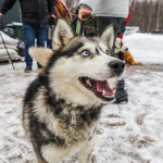 Ищу человека 