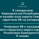 Прямая трансляция