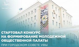 Стартовал конкурс на формирование Молодежной общественной палаты при городском Совете Уфы
