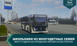 Транспортные льготы для многодетных семей