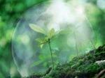 Национальный день состоится 14 мая
