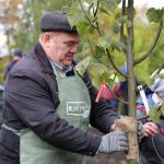 Депутаты Горсовета Уфы участвуют в озеленении столицы
